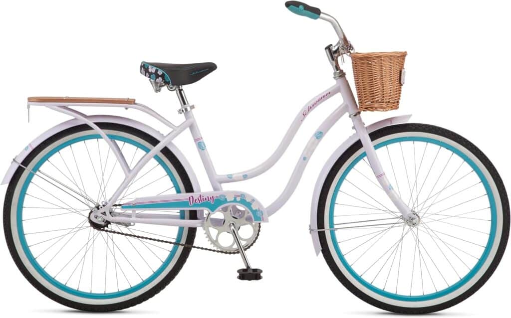 1 Schwinn Destiny