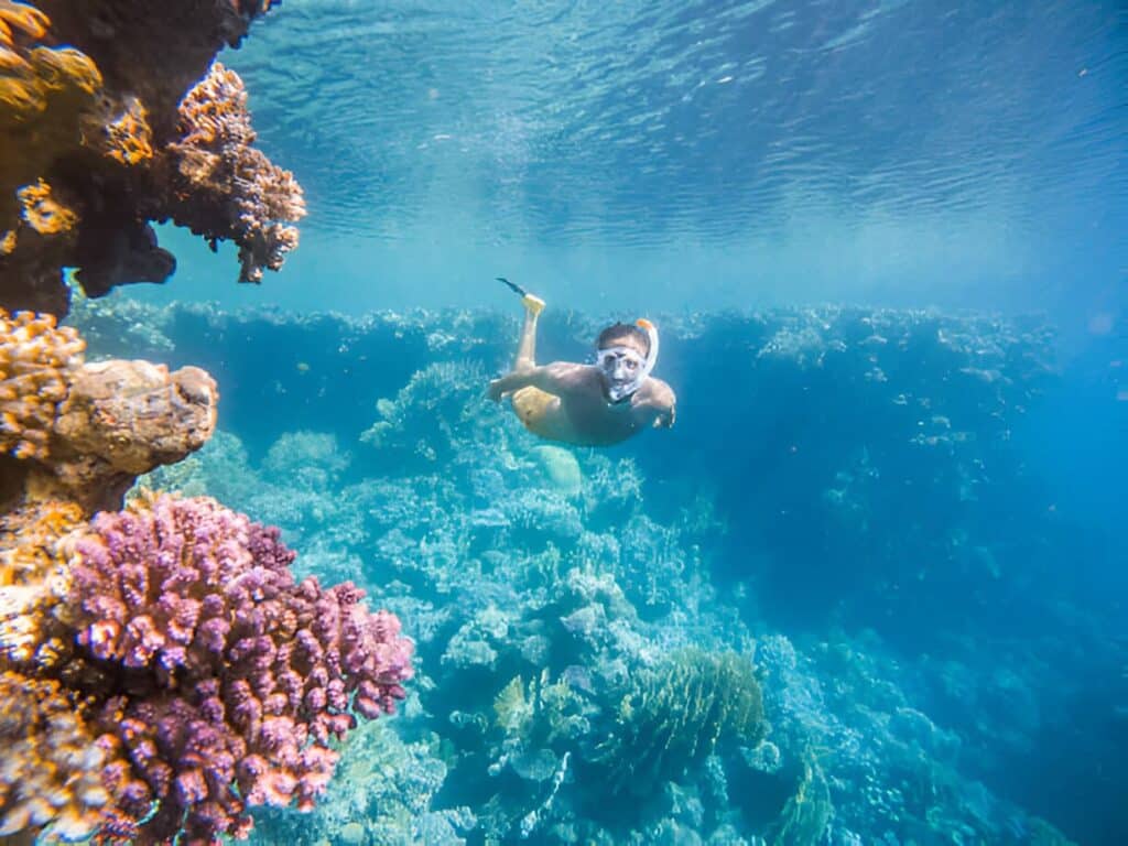 best snorkel gear for adults